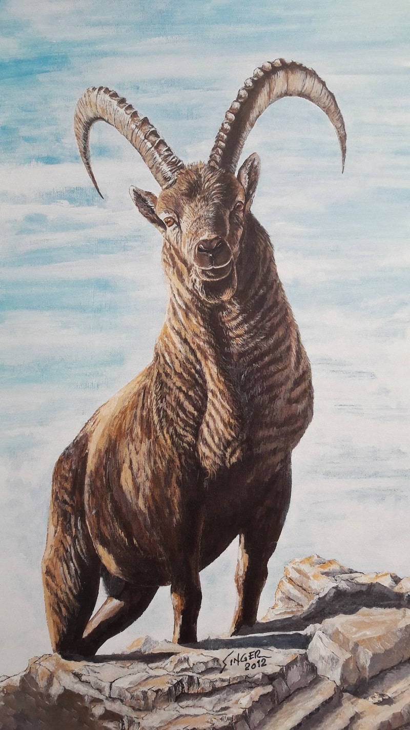 Steinbock Acryl