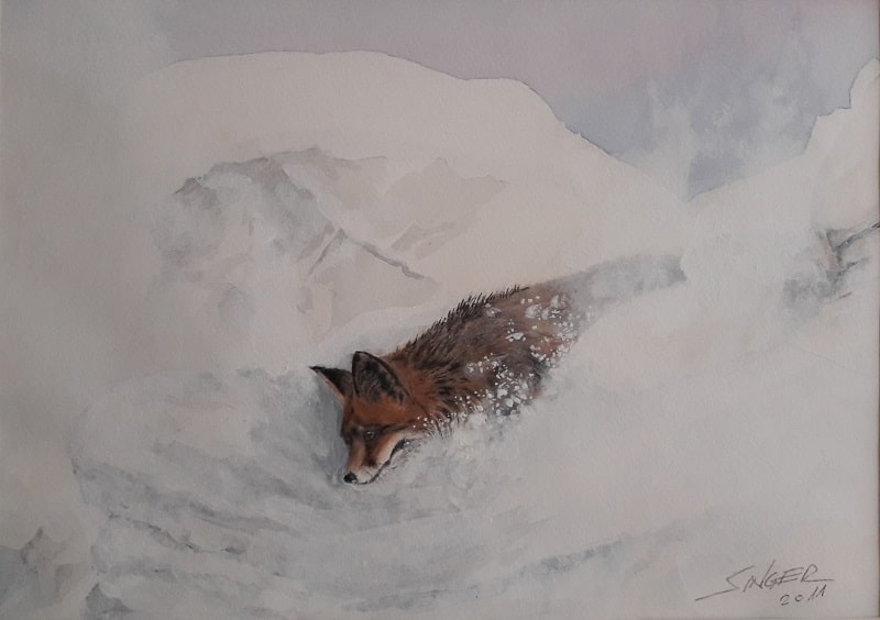 Bergfuchs Strenger Winter Aquarell