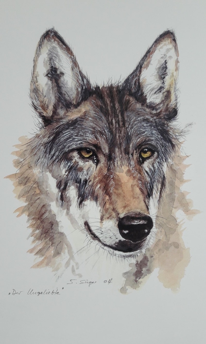 Wolf Der Ungeliebte Aquarell