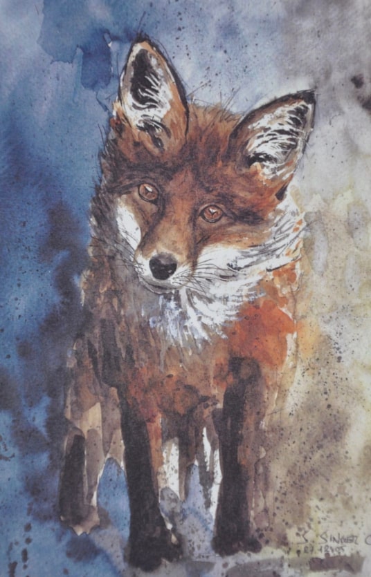 Rotfuchs Neugier Aquarell