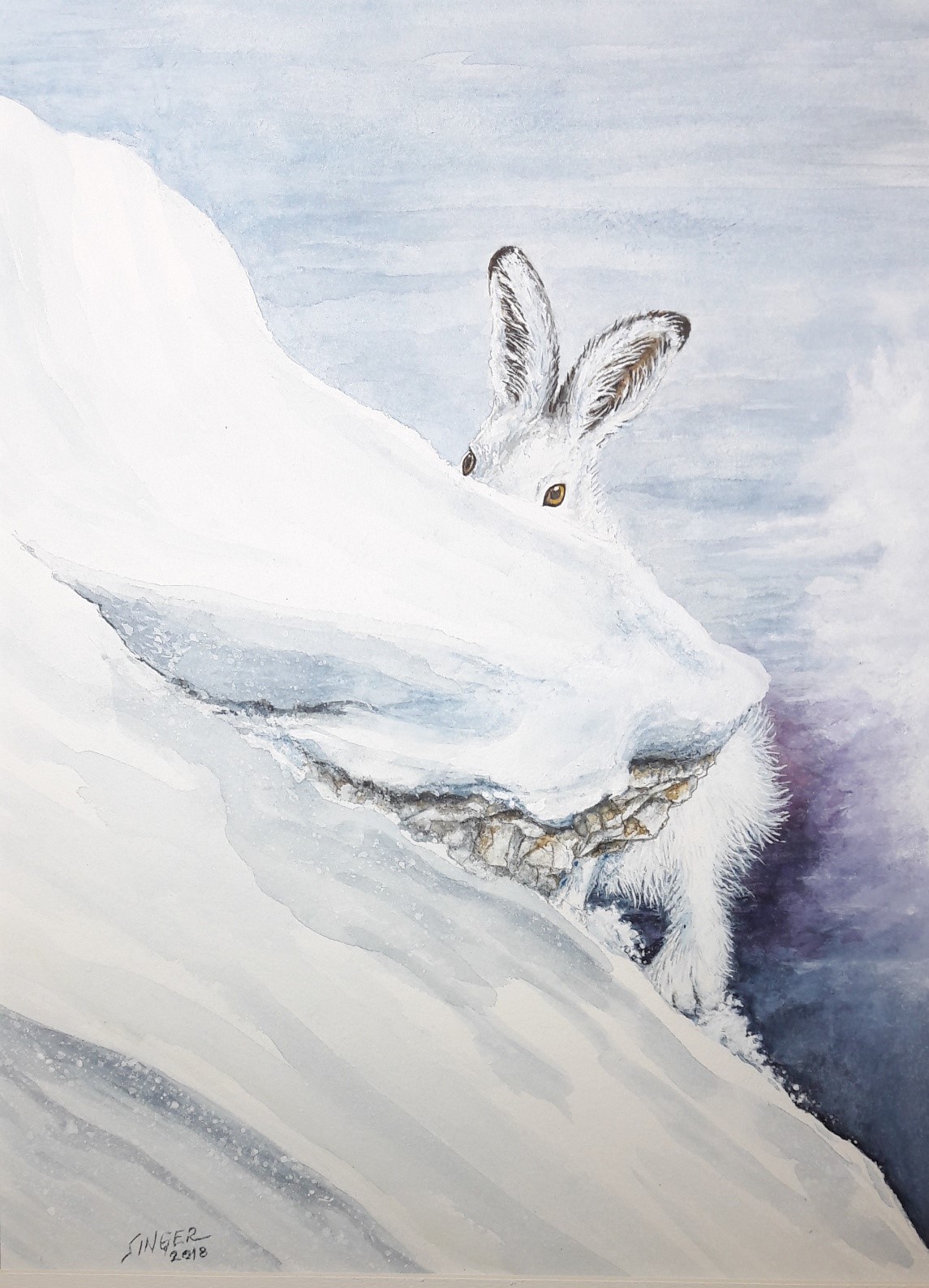 Schneehase Schneeschuhläufer Aquarell