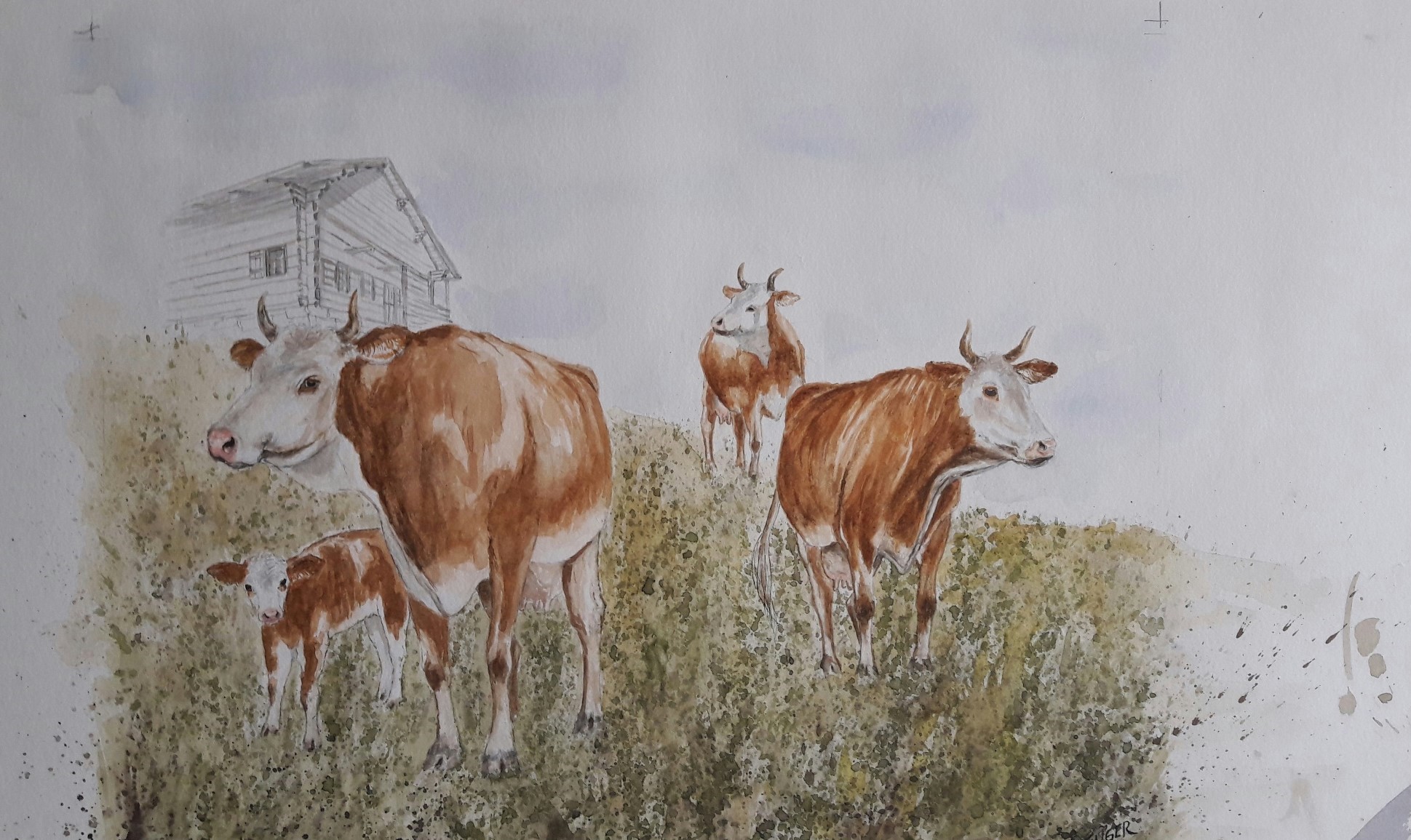 Kühe Simmentaler Kühe Aquarell