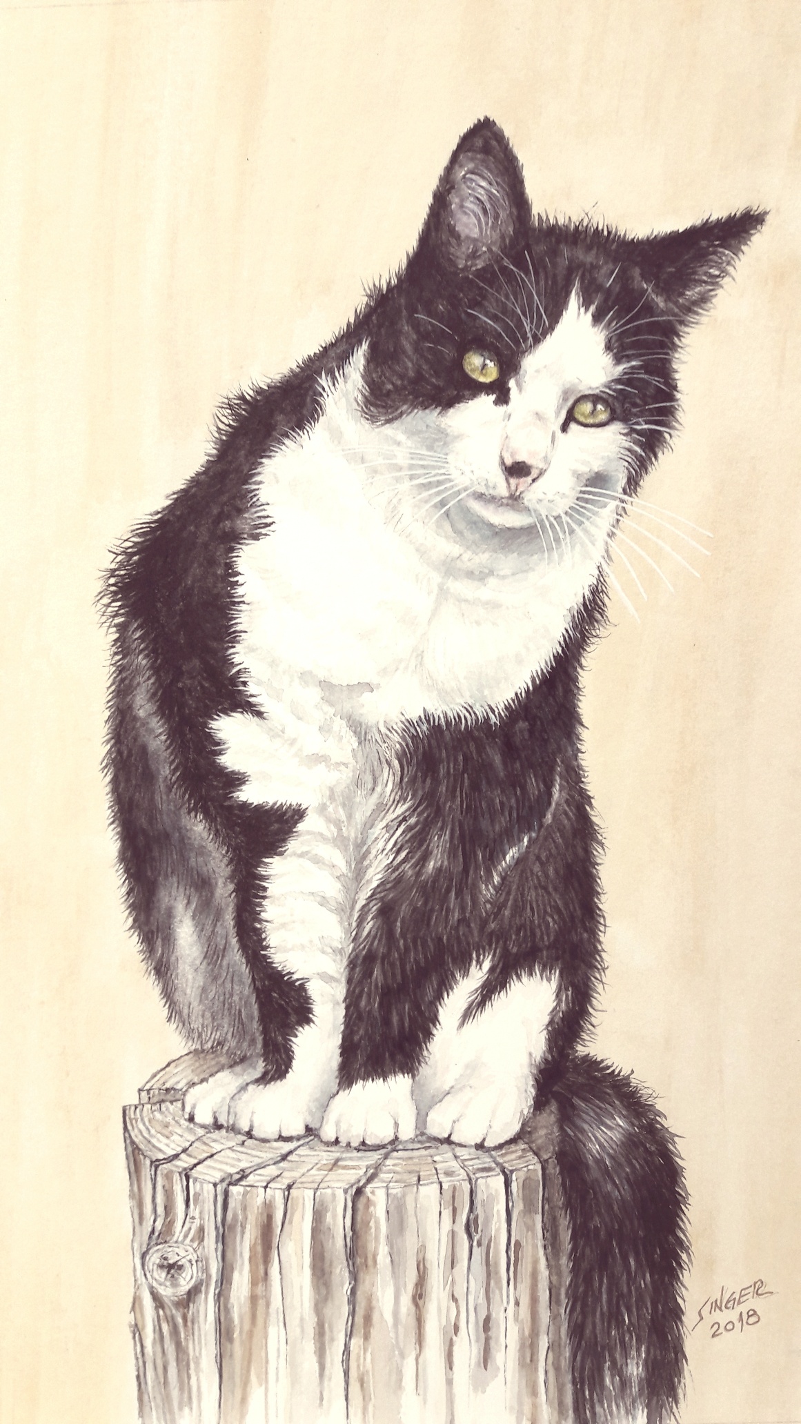 Katze Mogli Aquarell