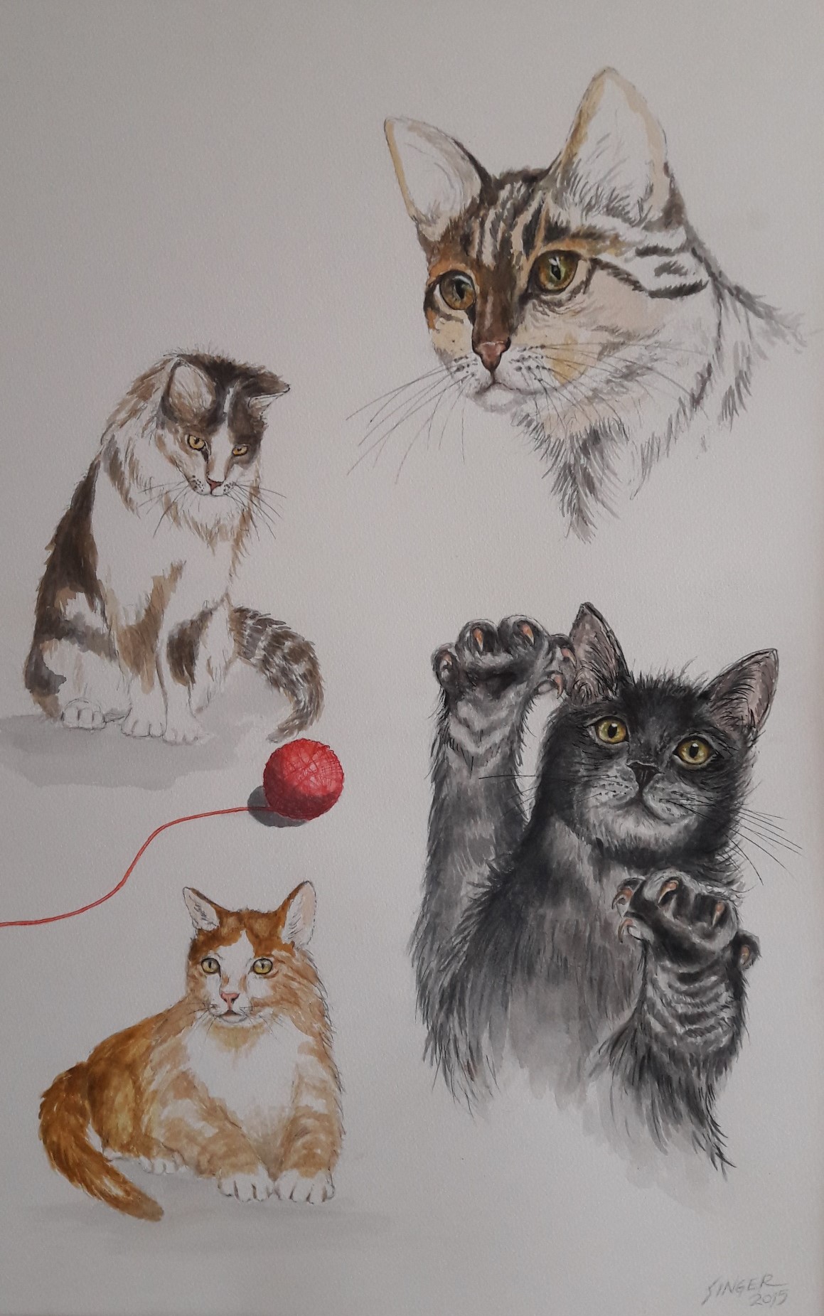 Katzen Vier Schönheiten Aquarell