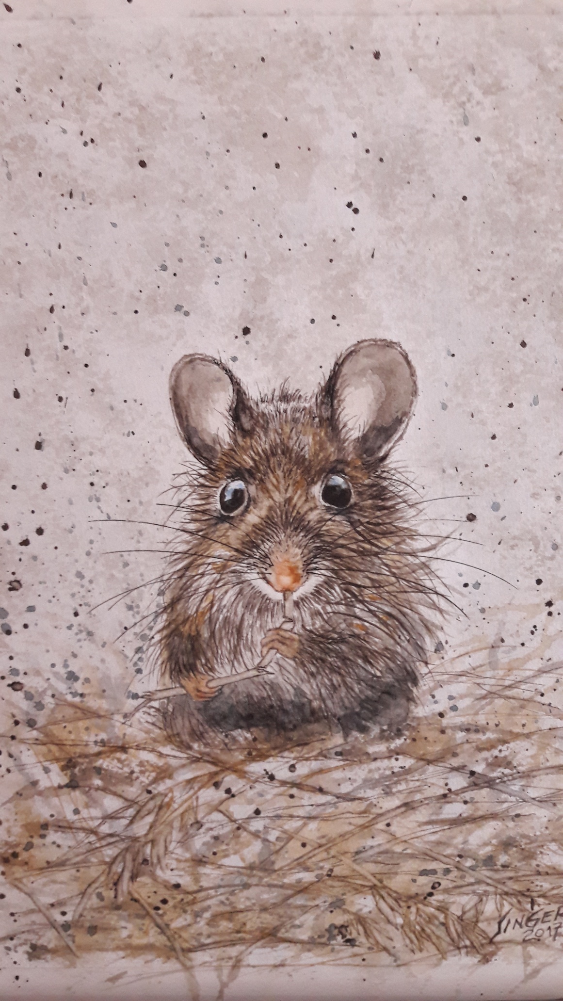 Maus Wie die Maus im Haferstroh Aquarell