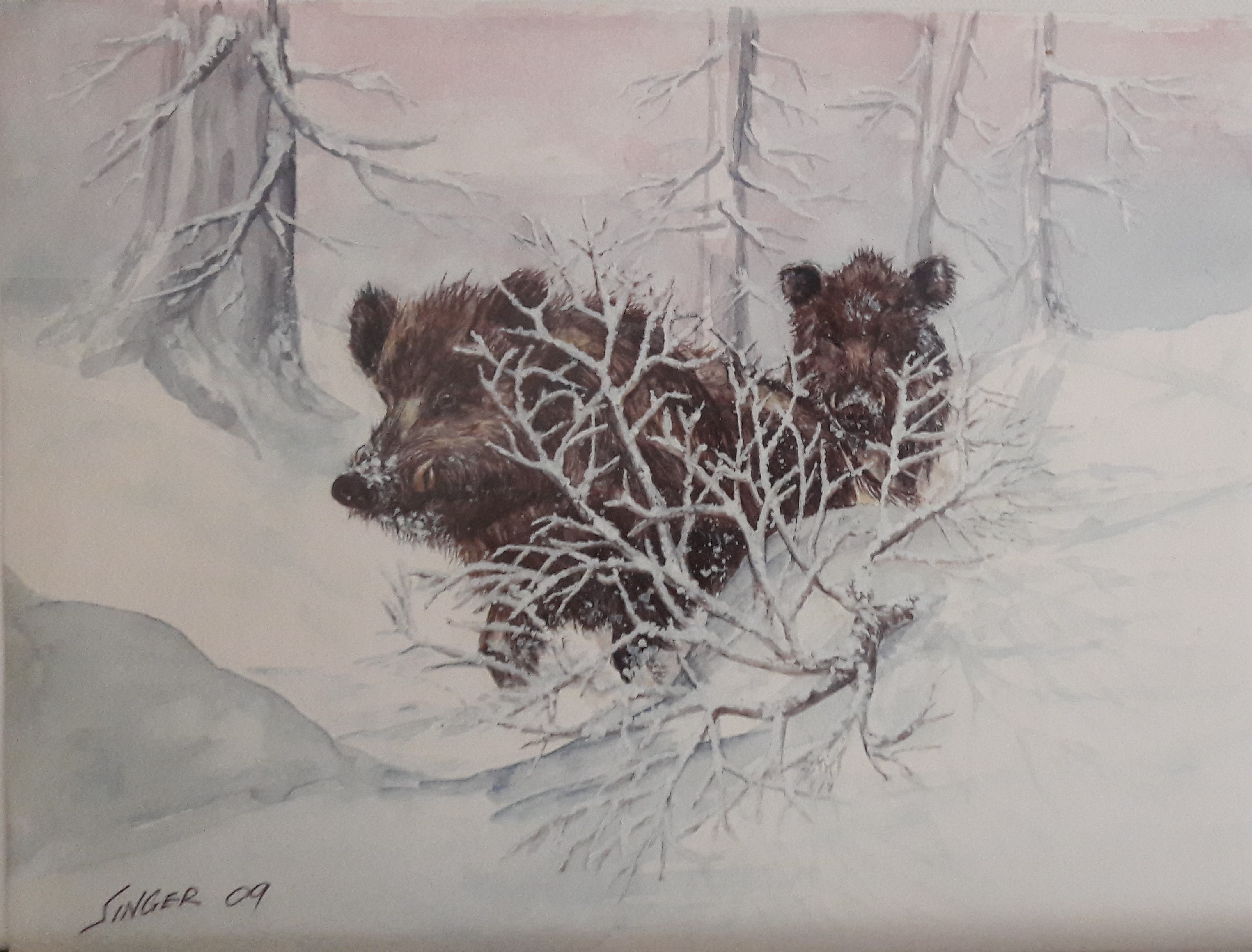 Wildschweine im Winter Aquarell